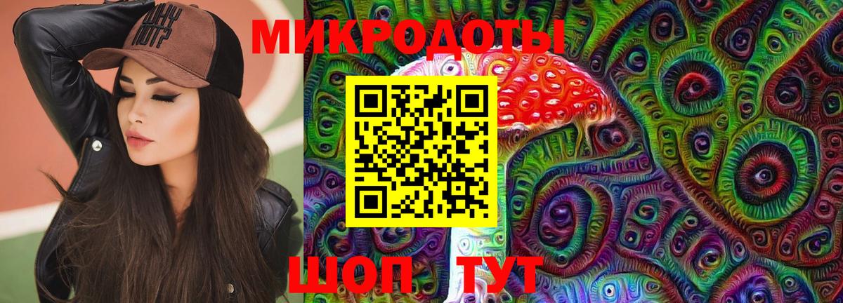 Галлюциногенные грибы Psilocybe Барнаул