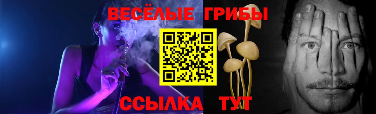 Барнаул  Галлюциногенные грибы мицелий  Вход с VPN 
